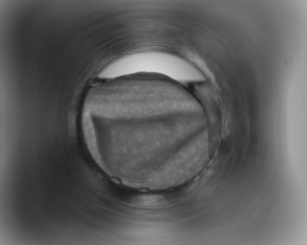 X0000089720154200707201828