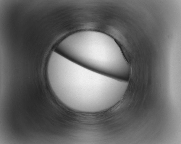 X0000089720156200707201828