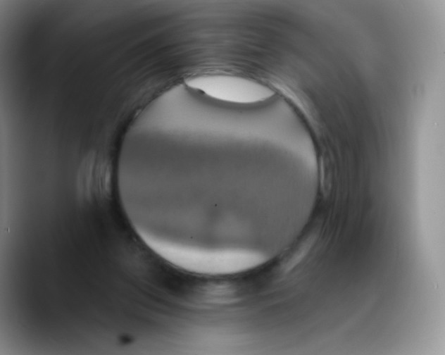 X0000089720157200707201828