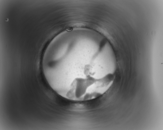 X0000089720159200707201828