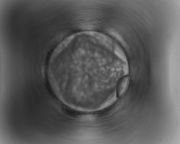 X0000089720161200707201828