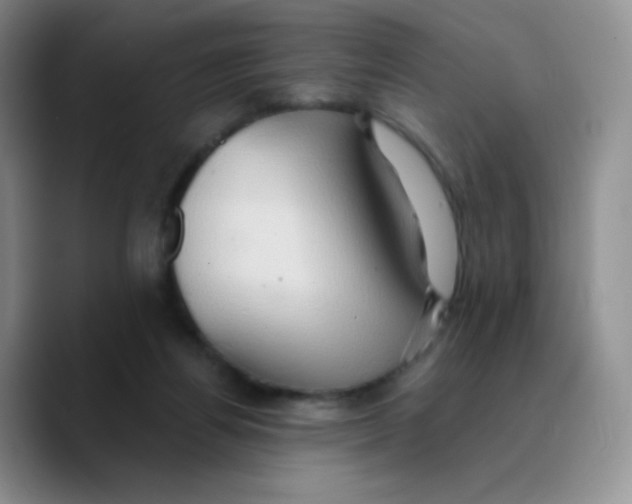 X0000089720164200707201828