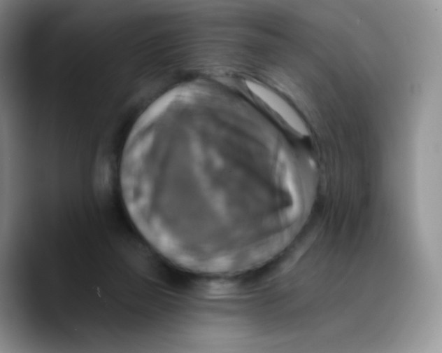 X0000089720165200707201828