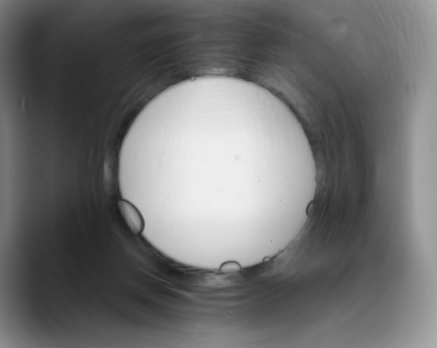 X0000089720166200707201828