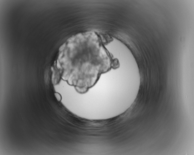 X0000089720167200707201828