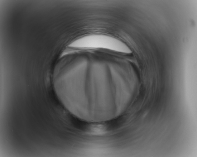 X0000089720169200707201828