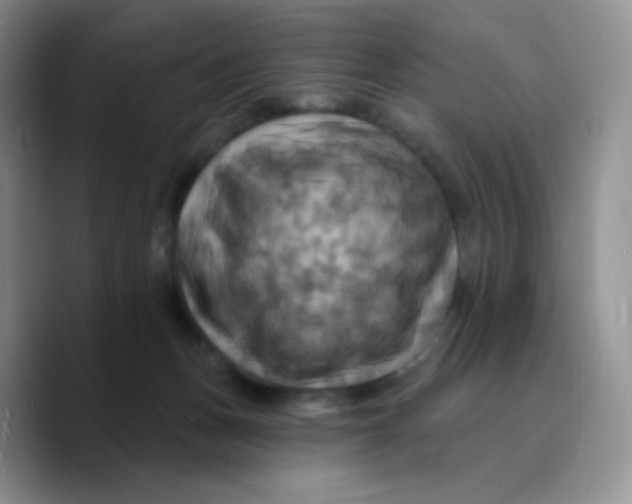 X0000089720175200707201828