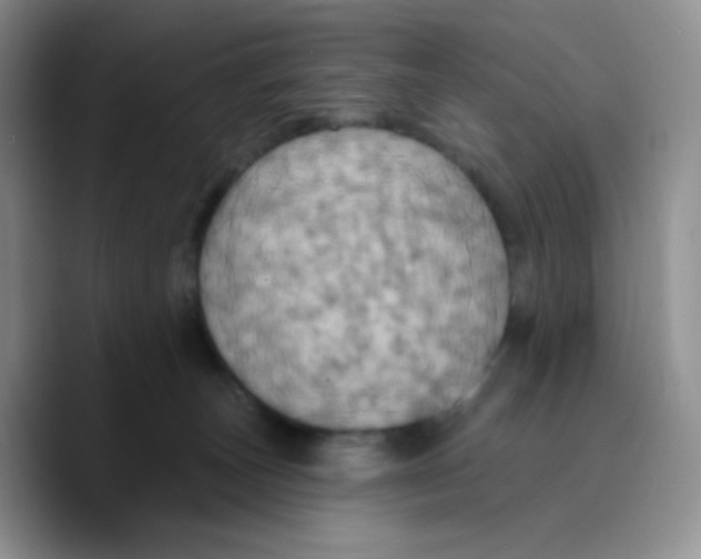 X0000089720179200707201828