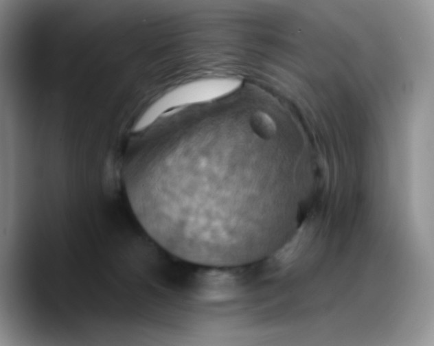 X0000089720180200707201828