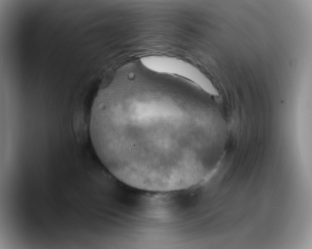 X0000089720186200707201828