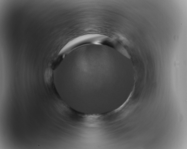 X0000089720192200707201828