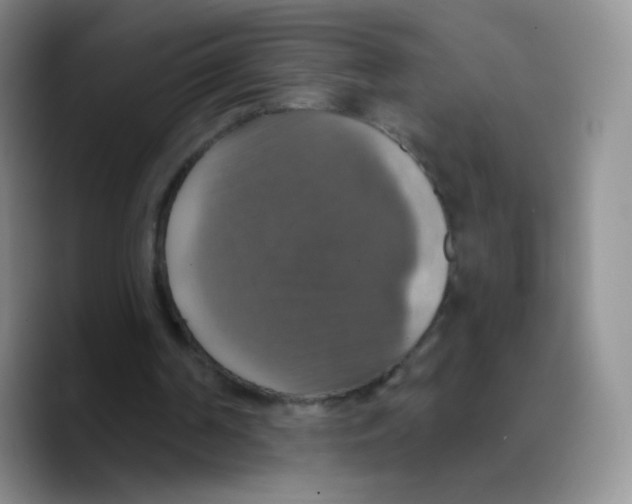 X0000089720194200707201827