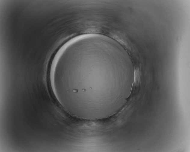 X0000089720195200707201827