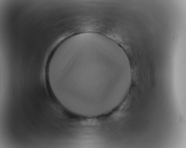 X0000089720196200707201827