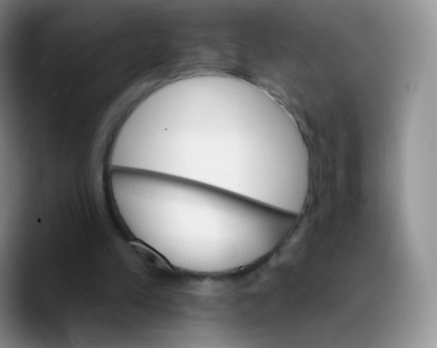 X0000089720197200707201827