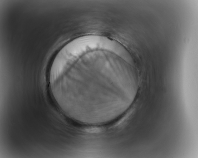 X0000089720198200707201827