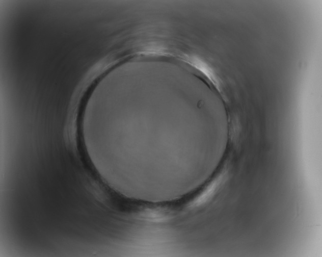 X0000089720199200707201827