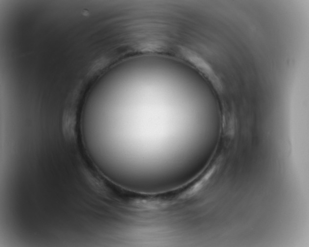 X0000089720201200707201827