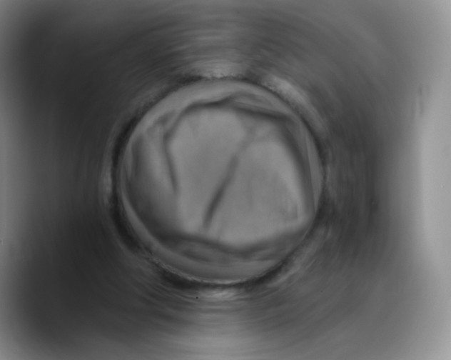 X0000089720202200707201827