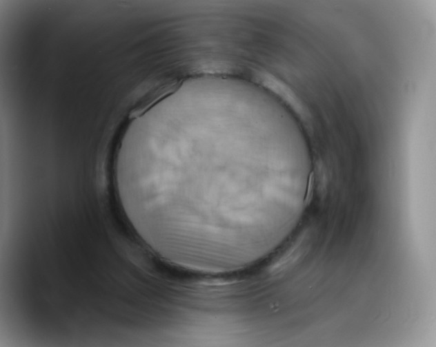 X0000089720203200707201827