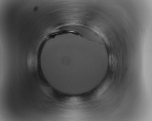 X0000089720204200707201827