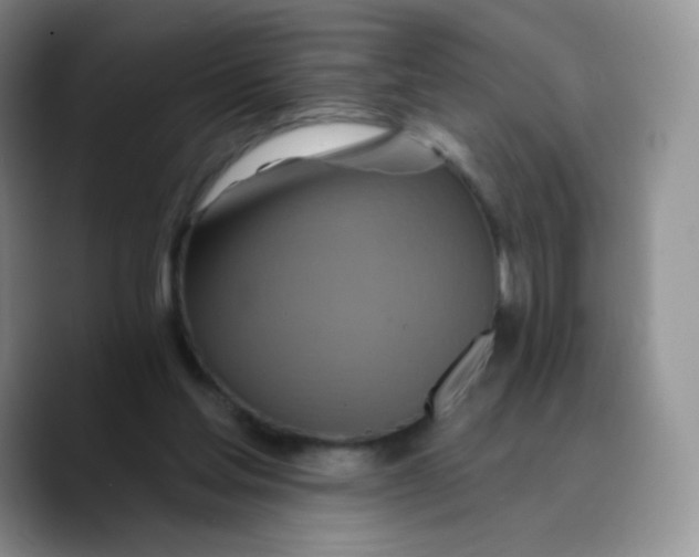 X0000089720205200707201827