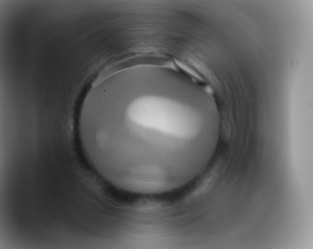 X0000089720207200707201827