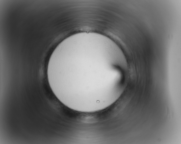X0000089720208200707201827