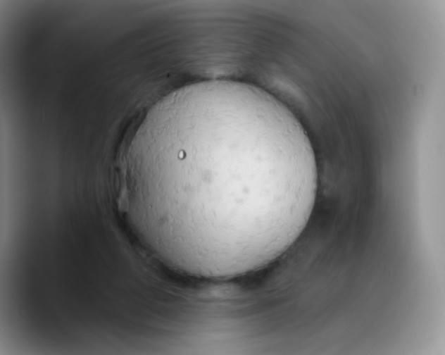 X0000089720210200707201827