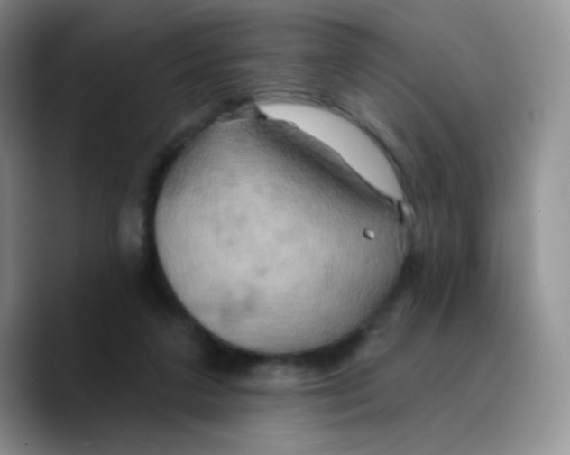 X0000089720211200707201827