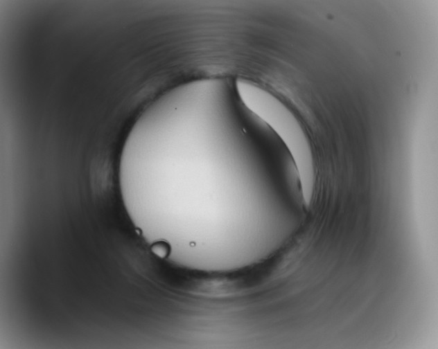 X0000089720212200707201827