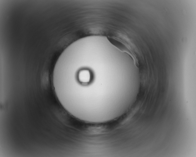 X0000089720213200707201827