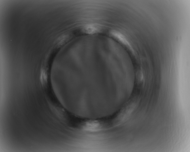 X0000089720214200707201827