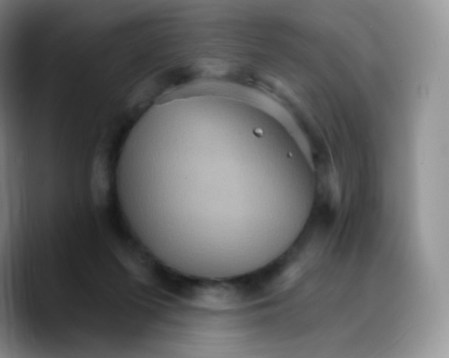 X0000089720215200707201827