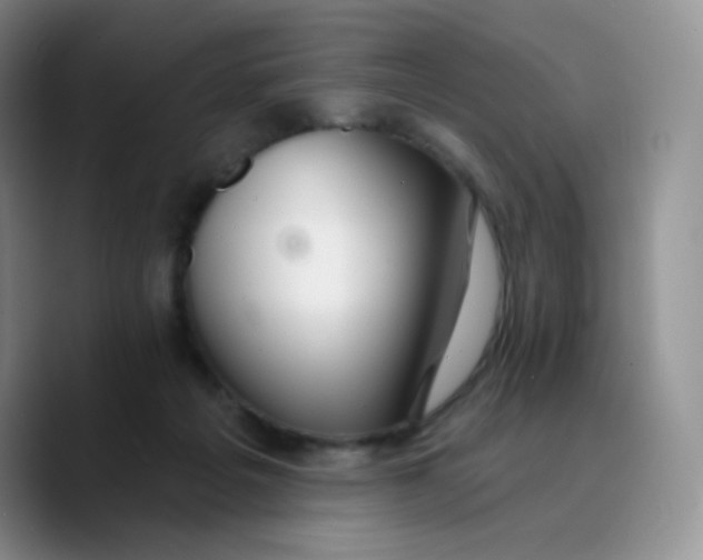 X0000089720217200707201827