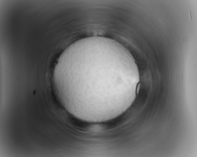 X0000089720218200707201827