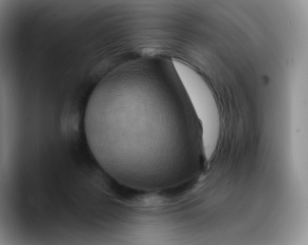 X0000089720219200707201827