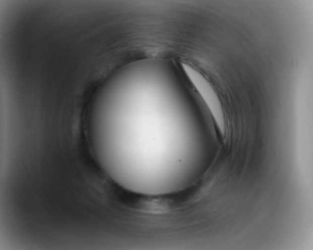 X0000089720221200707201827