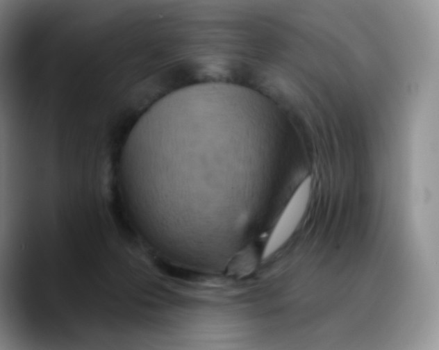 X0000089720223200707201827