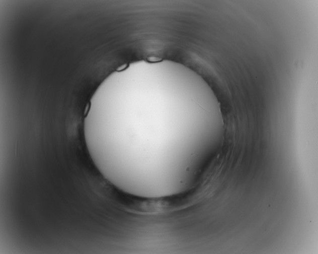 X0000089720225200707201827