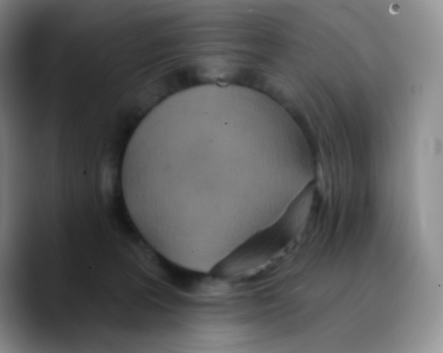 X0000089720227200707201827