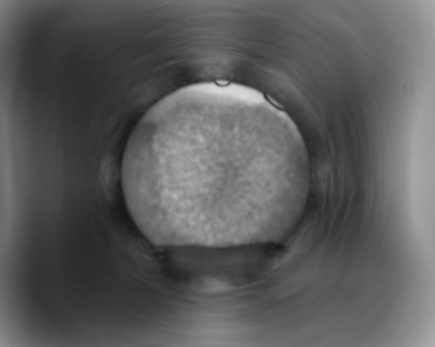 X0000089720228200707201827