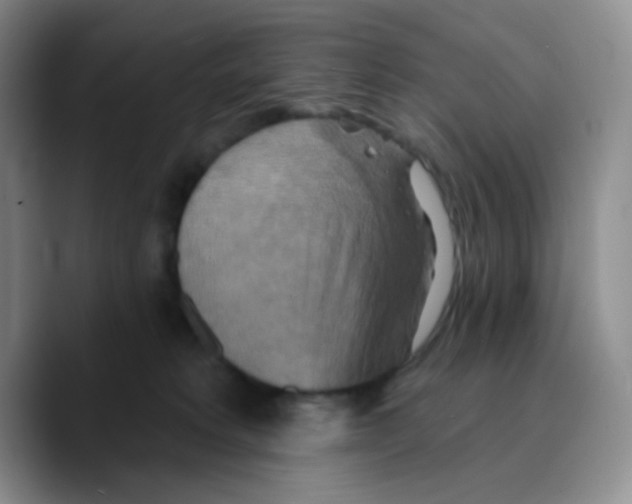 X0000089720229200707201827