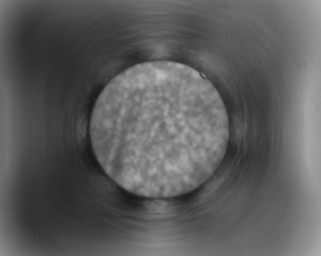 X0000089720230200707201827