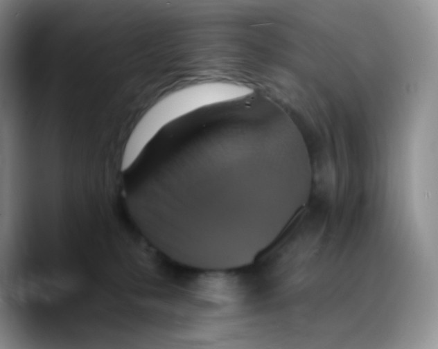 X0000089720231200707201827