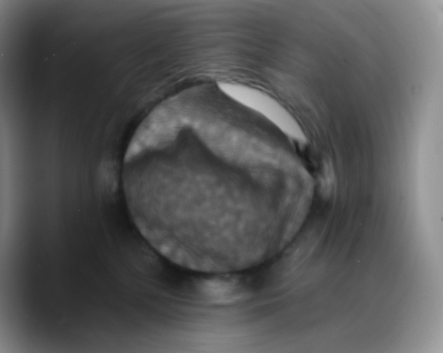 X0000089720232200707201827