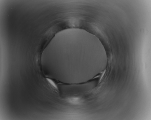 X0000089720233200707201827