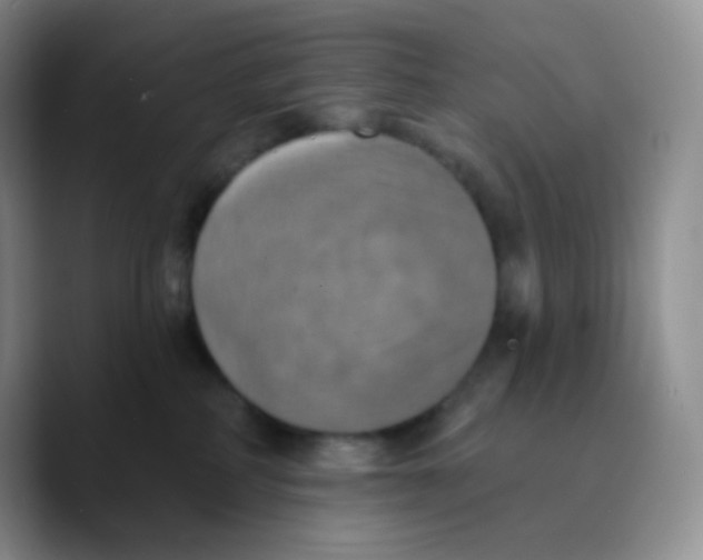 X0000089720234200707201827