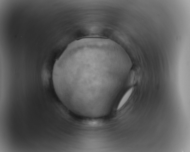X0000089720235200707201827