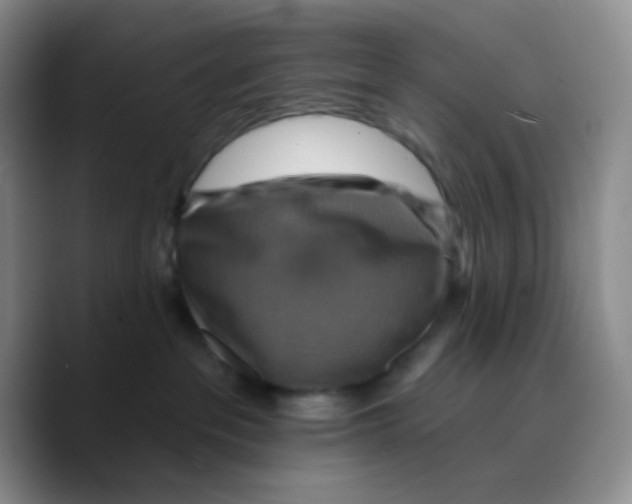 X0000089720237200707201827
